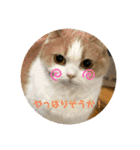 そらてんのこつくむぎ1（個別スタンプ：29）
