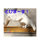 そらてんのこつくむぎ1（個別スタンプ：30）
