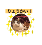 お返事するニャン❣️（個別スタンプ：1）