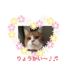 お返事するニャン❣️（個別スタンプ：5）
