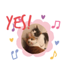 お返事するニャン❣️（個別スタンプ：6）