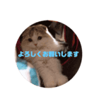 かわいいこむぎっち（個別スタンプ：3）