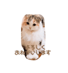 かわいいこむぎっち（個別スタンプ：5）