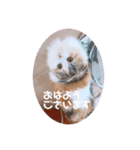 かわいいこむぎっち（個別スタンプ：8）