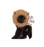 可愛いじじ猫（個別スタンプ：1）