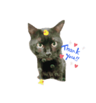 可愛いじじ猫（個別スタンプ：4）