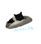 可愛いじじ猫（個別スタンプ：5）