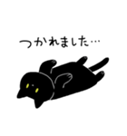 黒猫ろん(ゆる敬語)（個別スタンプ：4）