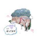 ハッピー犬＆（個別スタンプ：2）