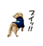 ハチ丸くん（個別スタンプ：9）