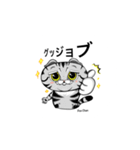 Ponchanスタンプ_studioroes（個別スタンプ：6）