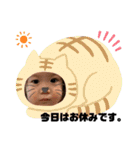 baby face k0haru2（個別スタンプ：30）