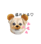 黒柴虎徹とゆかいなお友達（個別スタンプ：12）
