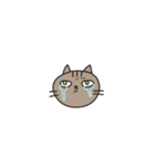 ねこたち すずとこてつ（個別スタンプ：19）