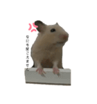 権三郎（個別スタンプ：1）