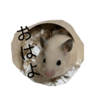 権三郎（個別スタンプ：3）