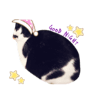 ぶちねこ8（個別スタンプ：4）