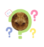 わが家のキング（個別スタンプ：7）
