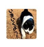 のんといずみ♡（個別スタンプ：3）