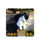 のんといずみ♡（個別スタンプ：4）