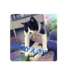 のんといずみ♡（個別スタンプ：6）