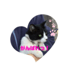 のんといずみ♡（個別スタンプ：8）