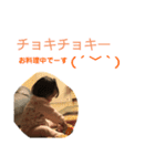 ☆娘のスタンプ☆Part3☆☆（個別スタンプ：4）