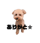 ノア(シンプルver.)（個別スタンプ：2）