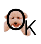 ノア(シンプルver.)（個別スタンプ：9）