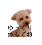 ノア(シンプルver.)（個別スタンプ：17）