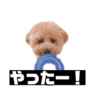 ノア(シンプルver.)（個別スタンプ：23）