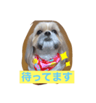 #まめやん（個別スタンプ：1）