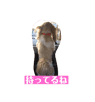 #まめやん（個別スタンプ：4）