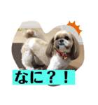 #まめやん（個別スタンプ：5）