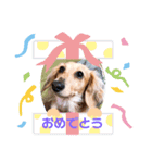 Sakuraちゃん、（個別スタンプ：8）
