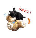 ちわわーずたちのスタンプ（個別スタンプ：32）