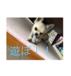 ふうたくんの日常生活1（個別スタンプ：5）