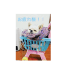 ふうたくんの日常生活1（個別スタンプ：9）