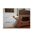 ふうたくんの日常生活1（個別スタンプ：11）