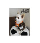 ふうたくんの日常生活1（個別スタンプ：15）