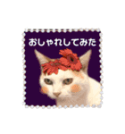 ラブリー ぶーさん（個別スタンプ：1）