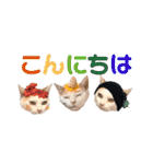 ラブリー ぶーさん（個別スタンプ：7）