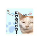 ラブリー ぶーさん（個別スタンプ：21）