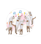 ラブリー ぶーさん（個別スタンプ：28）