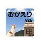 ラブリー ぶーさん（個別スタンプ：35）