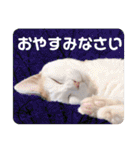 ラブリー ぶーさん（個別スタンプ：39）