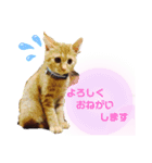 バロンだにゃ（個別スタンプ：3）