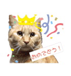 バロンだにゃ（個別スタンプ：8）
