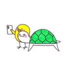 かめとぴよこ（個別スタンプ：4）