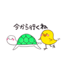 かめとぴよこ（個別スタンプ：8）